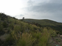 Mina Permuta (Obdulia), Cabezo del Laberinto, Rambla del Avenque, Sierra Minera Cartagena la Unión