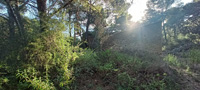 Mina Santo Tomás. Peña del Águila. SIerra minera de Cartagena la Unión