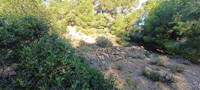 Mina Santo Tomás. Peña del Águila. SIerra minera de Cartagena la Unión