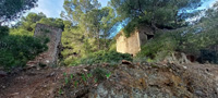 Mina Santo Tomás. Peña del Águila. SIerra minera de Cartagena la Unión