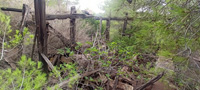  Mina Secretaria, Barranco de Magreros, Llano del Beal, Sierra Minera de Cartagena-La Unión, Cartagena, Murcia 