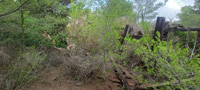 Mina Secretaria, Barranco de Magreros, Llano del Beal, Sierra Minera de Cartagena-La Unión, Cartagena, Murcia