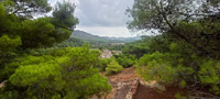 Mina Secretaria, Barranco de Magreros, Llano del Beal, Sierra Minera de Cartagena-La Unión, Cartagena, Murcia