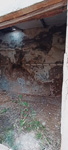 Mina Segundo San Rafael, el Gorguel, Cartagena, Sierra Minera Cartagena la Unión. Murcia