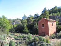 Mina San Anotnio.  Cehegín. Murcia