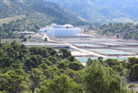 Salinas la Rosa. Sierra del Carche. Jumilla. Murcia