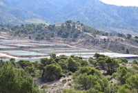 Salinas la Rosa. Sierra del Carche. Jumilla. Murcia