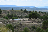 Salinas la Rosa. Sierra del Carche. Jumilla. Murcia