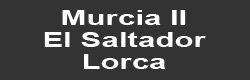 Mina Murcia II: El Saltador. Lorca.  Murcia.