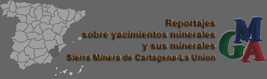 Logo Grupo Mineralogico de Alicante