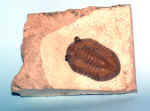 PB023280.JPG (199878 bytes)