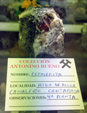 Grupo Mineralógico de Alicante. Colección de Antonio Bueno 