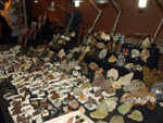 Grupo Mineralógico de Alicante.  VIII Feria de Minerales de Oliva  