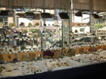 Grupo Mineralógico de Alicatnte. II Feria de Minerales de Elche. Stand de The Mineral Shop