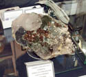 Grupo Mineralógico de Alicatnte. II Feria de Minerales de Elche. Stand de The Mineral Shop