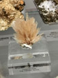 Grupo Mineralógico de Alicante.  Museo de Ciencias Naturales de Álava