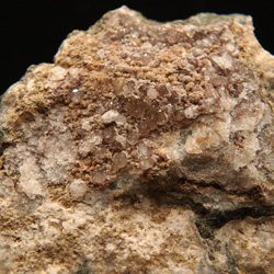 Minerales de la provincia de Alicante. Analcima