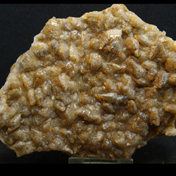 Cantera Cabezoncillo (Cantera Holcim), Cabeçonet, Busot, Comarca Campo de Alicante, Alicante