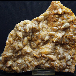 Cantera Cabezoncillo (Cantera Holcim), Cabeçonet, Busot, Comarca Campo de Alicante, Alicante