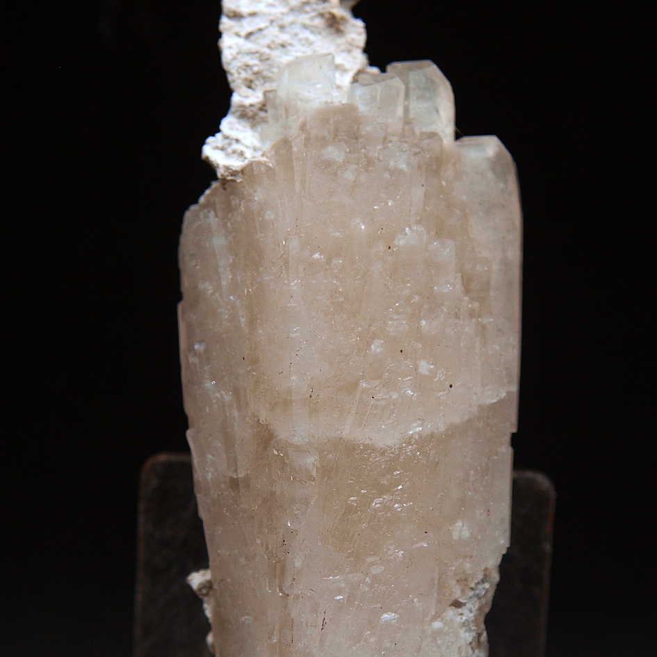 Celestina. Arneva. Orihuela. Alicante