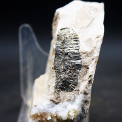 Marcasita. Rambla en finca La Canyaeta Blanca, Agost, Comarca Campo de Alicante, Alicante.