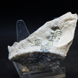Minerales de la provincia de Alicante. Marcasita
