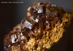 Coleccin de Minerales de Luis Triugueros