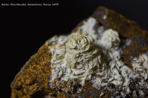 Coleccin de Minerales de Luis Triugueros