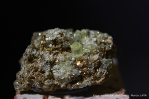 Coleccin de Minerales de Luis Triugueros