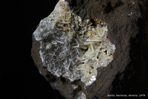 Coleccin de Minerales de Luis Triugueros