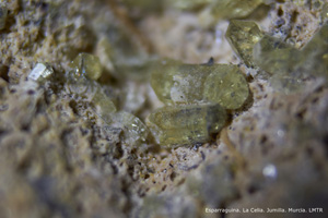 Coleccin de Minerales de Luis Triugueros