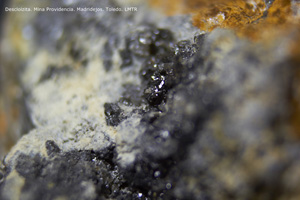 Coleccin de Minerales de Luis Triugueros