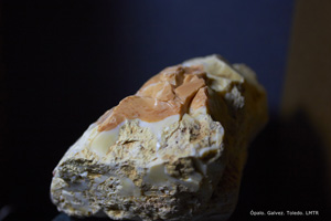 Coleccin de Minerales de Luis Triugueros