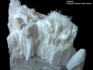 Coleccin de Minerales de Jose Luis Zamora Rubio
