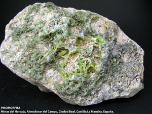 Coleccin de Minerales de Jose Luis Zamora Rubio