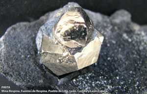 Coleccin de Minerales de Jose Luis Zamora Rubio
