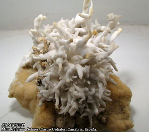 Coleccin de Minerales de Jose Luis Zamora Rubio