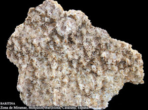 Coleccin de Minerales de Jose Luis Zamora Rubio