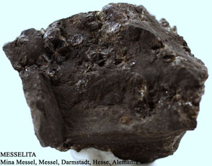 Coleccin de Minerales de Jose Luis Zamora Rubio