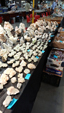 Brescia Mineral Show