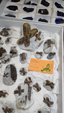 Brescia Mineral Show
