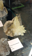 Brescia Mineral Show