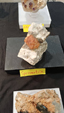 Brescia Mineral Show