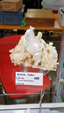 Brescia Mineral Show