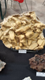 Brescia Mineral Show