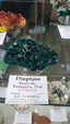 Brescia Mineral Show