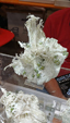 Brescia Mineral Show
