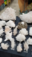 Brescia Mineral Show
