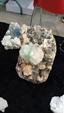 Brescia Mineral Show