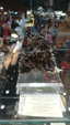  Brescia Mineral Show